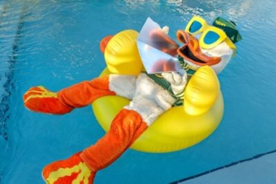 Moxy St. Petersburg Downtown Oregon Duck in pool