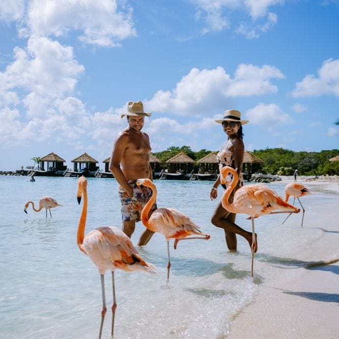 people standing in the ocean next to flamingos