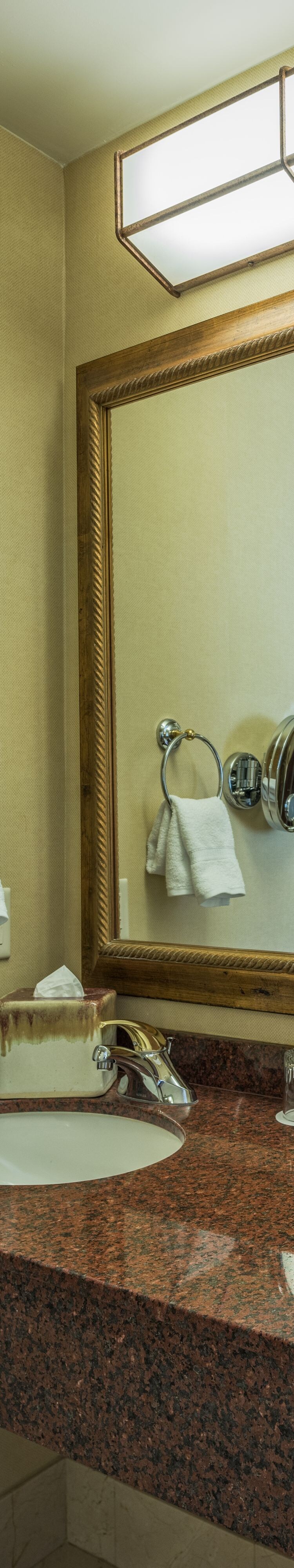 Suite Bathroom - Vanity