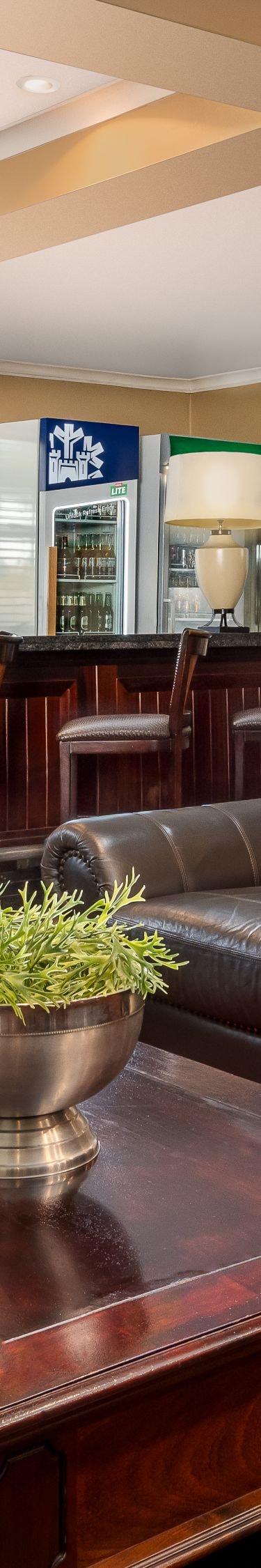 leather sofa, chairs, bar with stools, arm chairs 