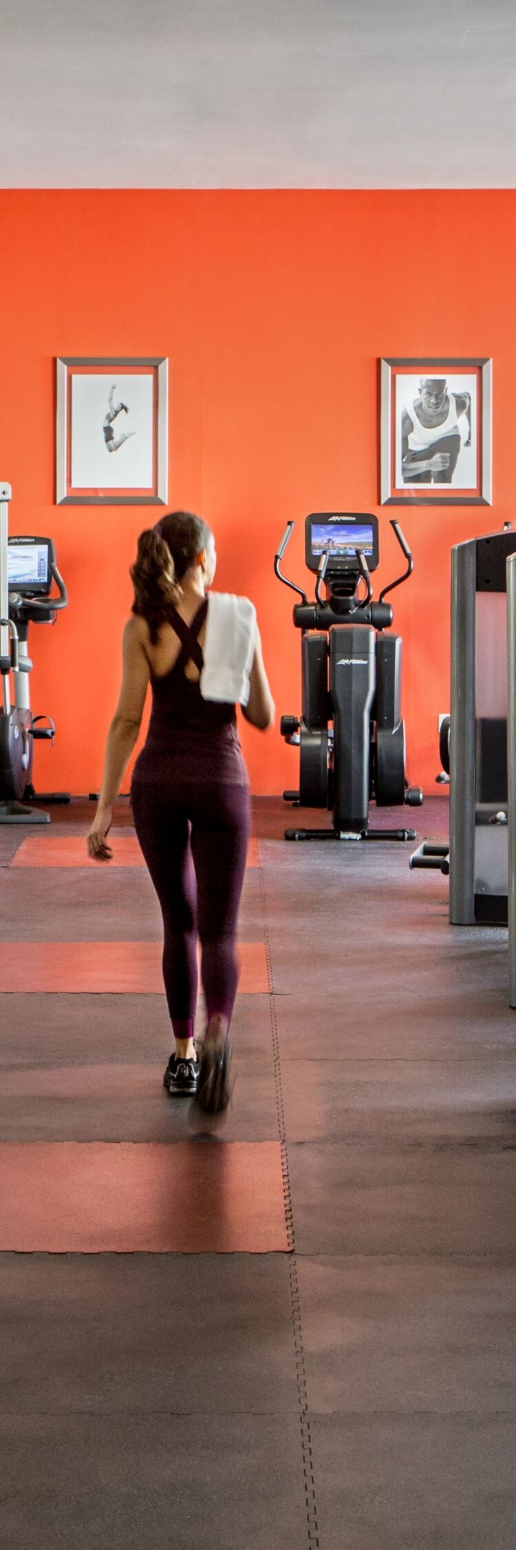 Gimnasio