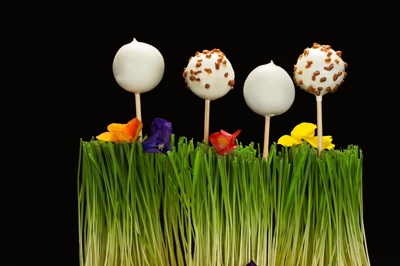 Cake pops planted in grass and sprinkled with real flowers to resemble a garden