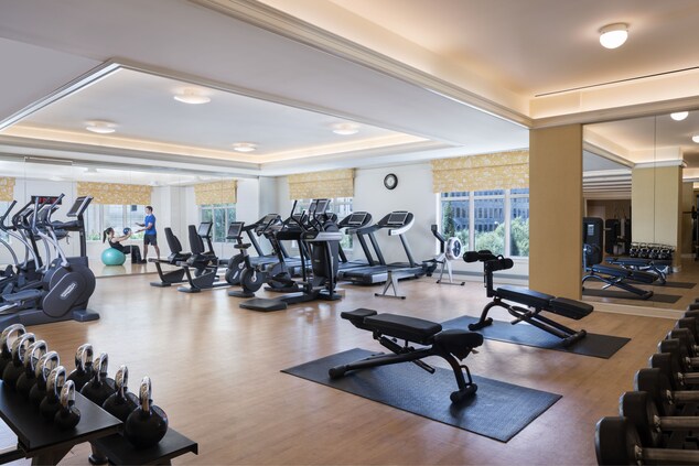 Room with a row of treadmills and a row of elliptical machines