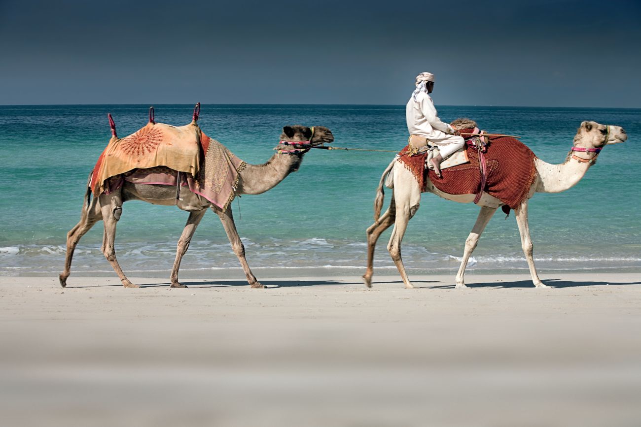 Guests can experience guided camel rides on the beach