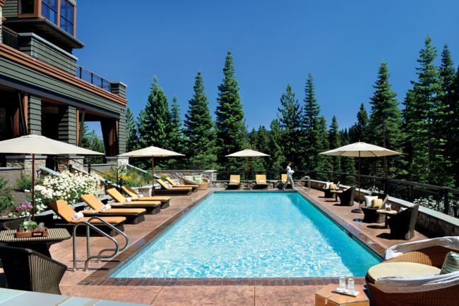 Outdoor lap pool framed by towering green pine trees