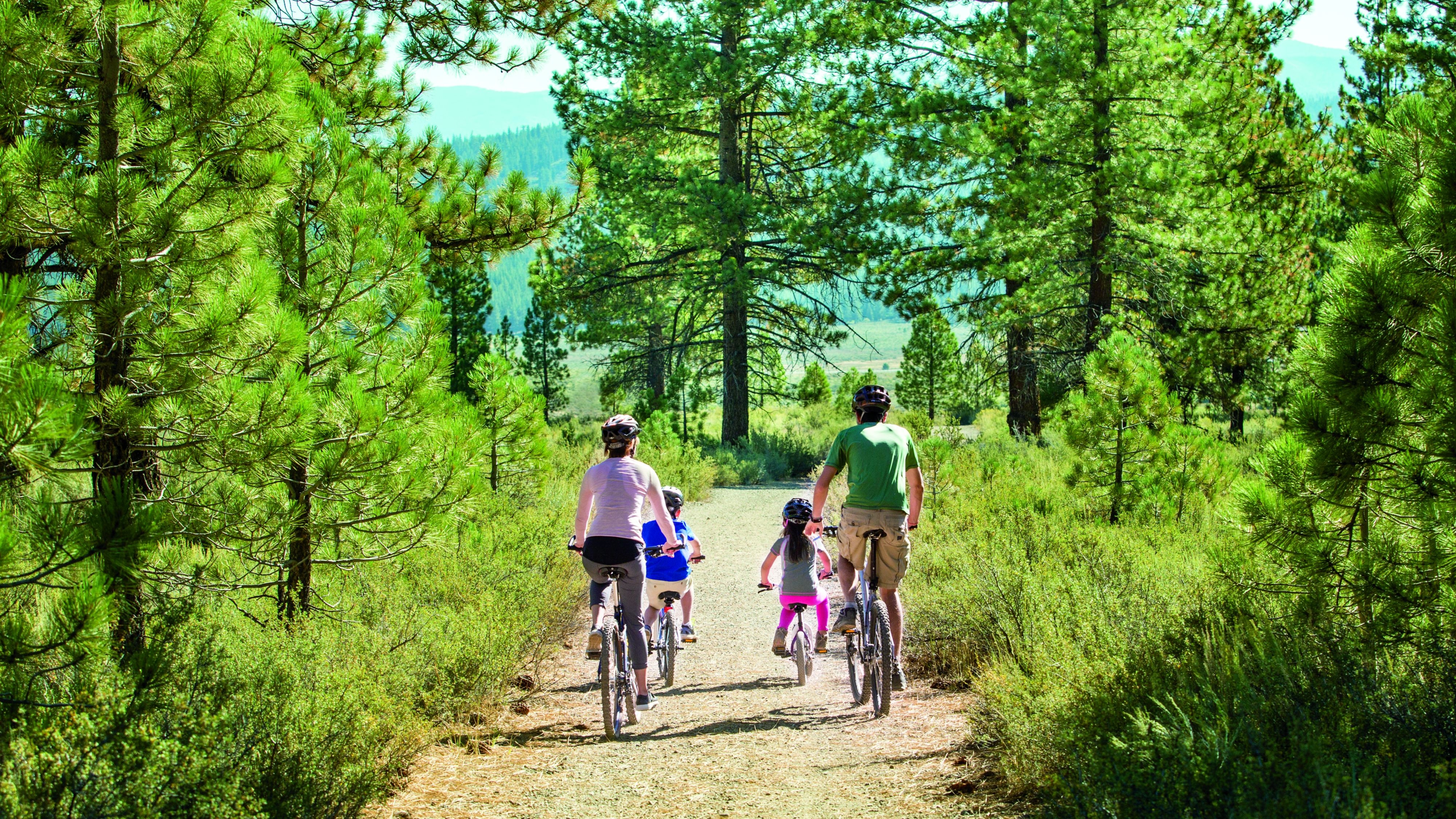 Family Connector Package