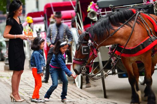 Two girls feed carrots to a carriage horse while a staff member oversees the fun