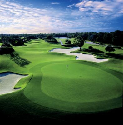 The Ritz-Carlton Golf Club Course