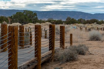Attractions - Prime Woodland Desert Preserve