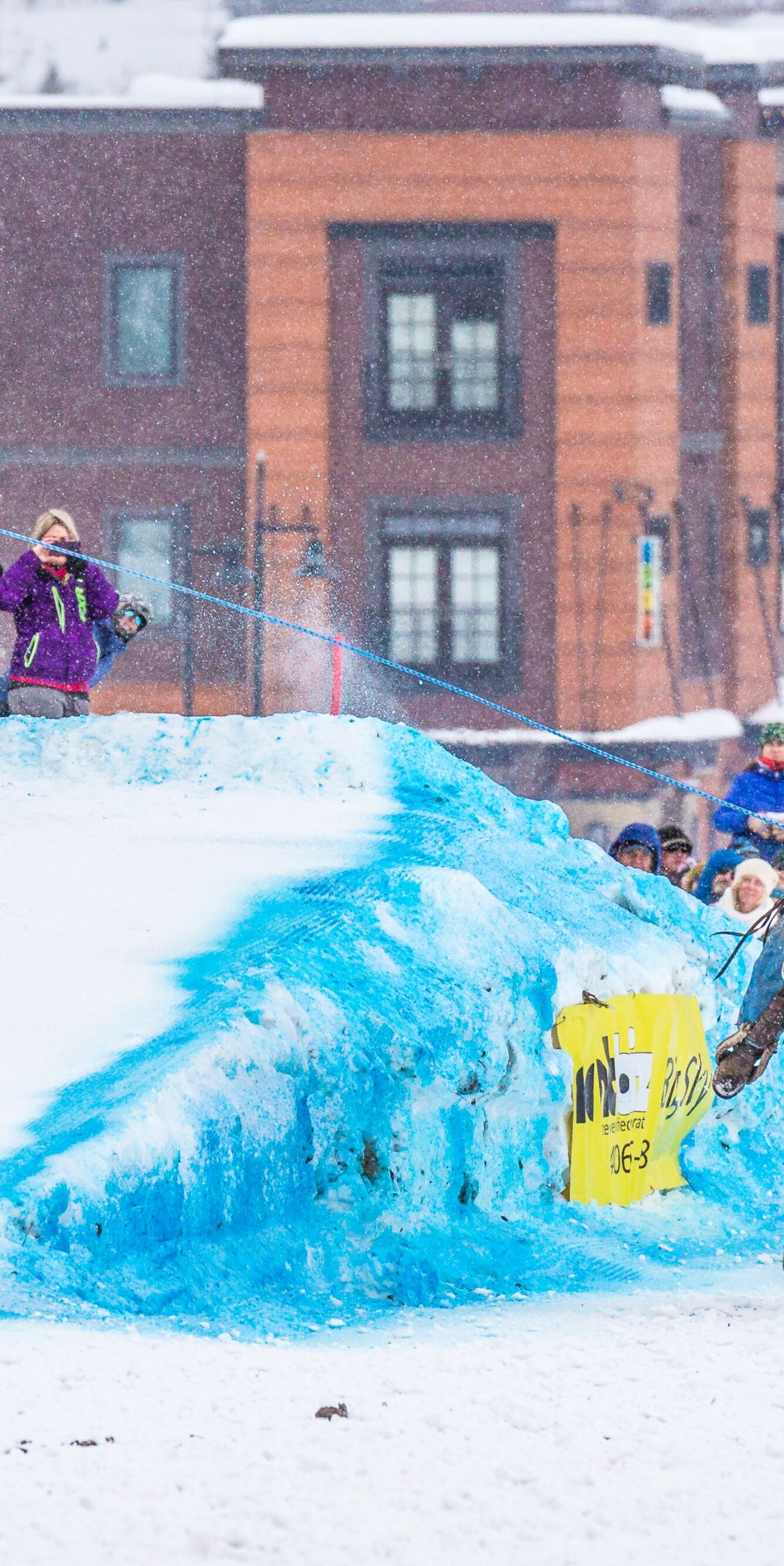 Skijoring