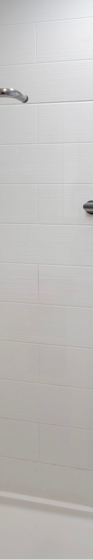 Shower with bath amenities