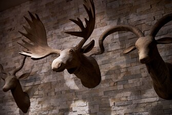 Lobby Details - Animal Wall