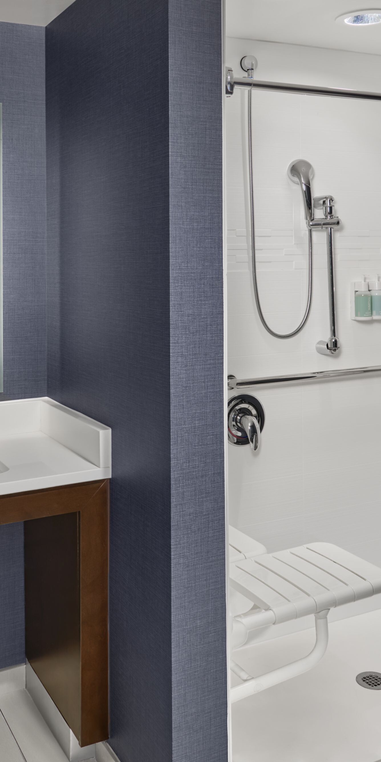 Accessible Bathroom - Roll-in Shower