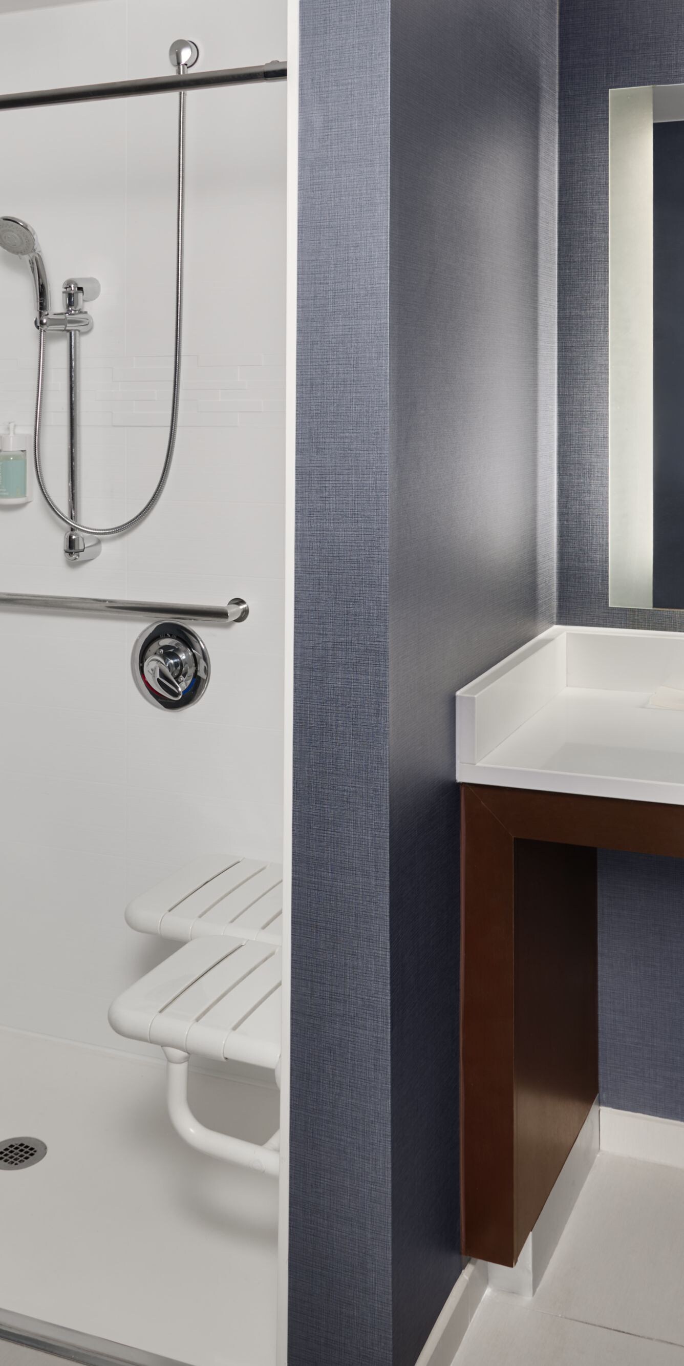 Accessible Bathroom - Roll-in Shower