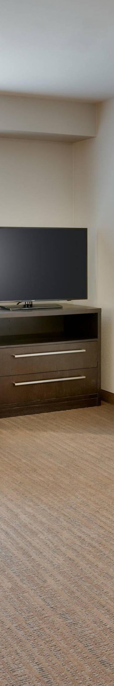 Representation of One-Bedroom Suite