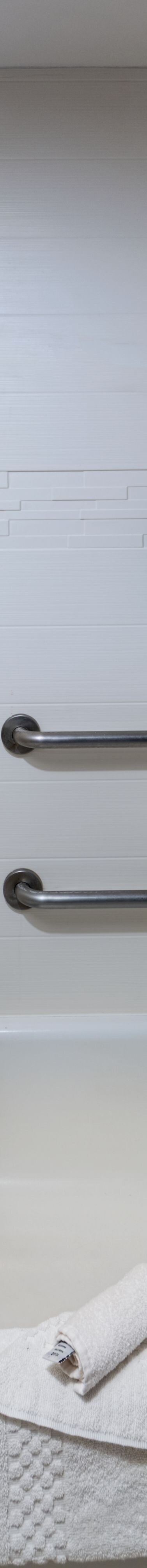 Accessible guest bathroom tub shower