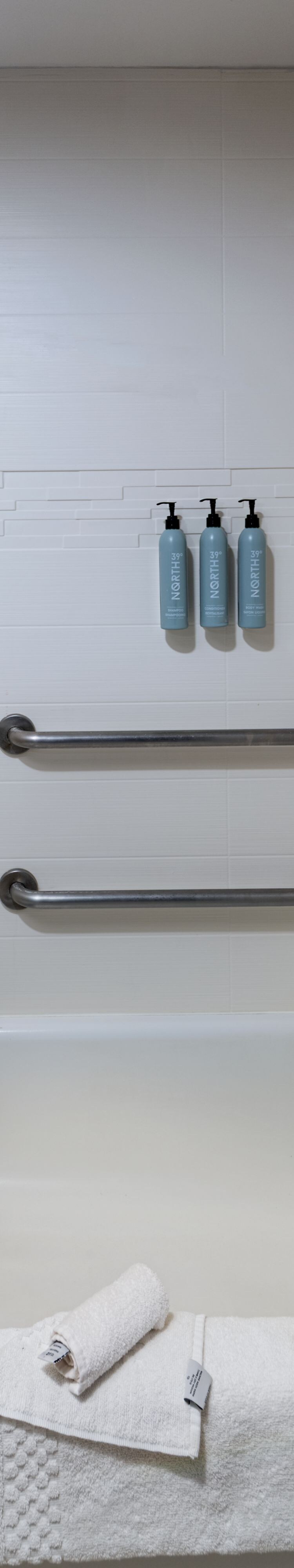 Accessible guest bathroom tub shower