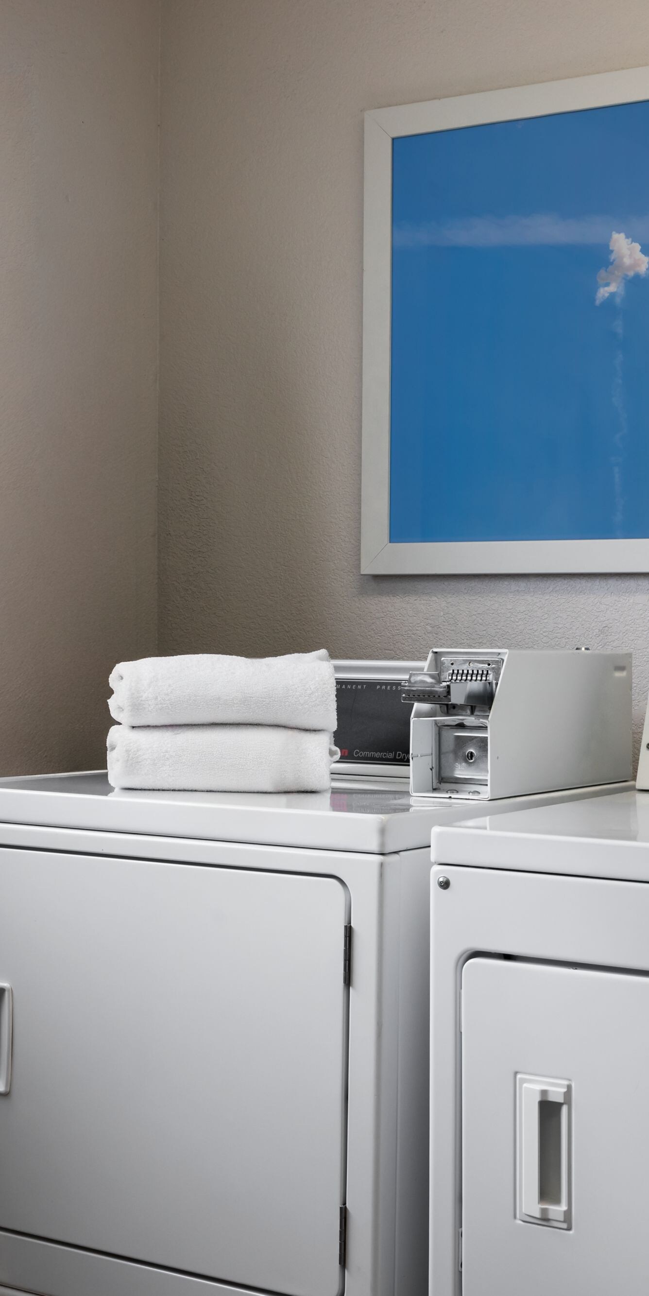 Washing and drying machines for laundry