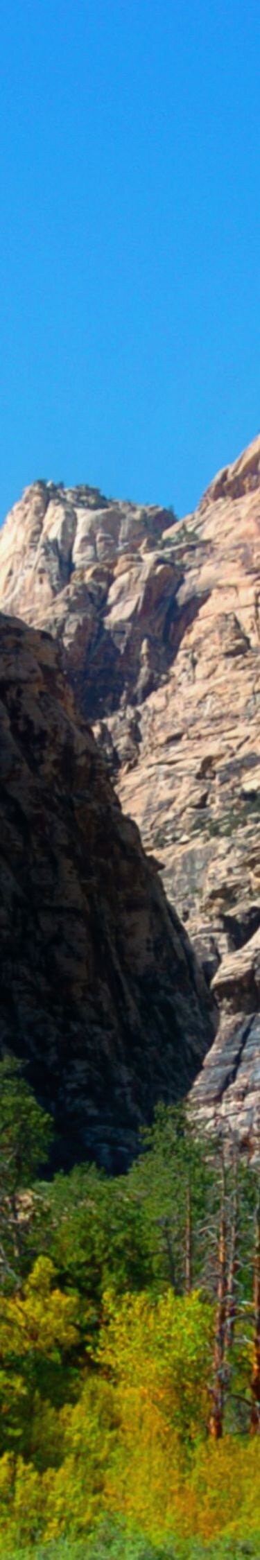 Only 20 miles from the Las Vegas Strip, the Red Rock Canyon National Conservation Area allows visitors to hike, picnic, and view plant and animal life under 3,000 feet of red rock formations.