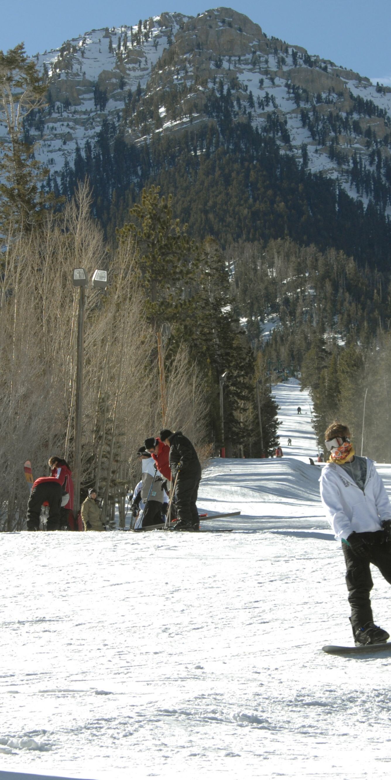 Only 35 miles northwest of Las Vegas, visitors can find the cool mountain breezes and all-around scenic beauty. Hiking in the spring and summer to skiing in the winter, Mount Charleston offers a variety of activities for all nature enthusiasts. Photo cour