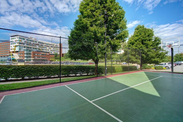 Photo of the sport court