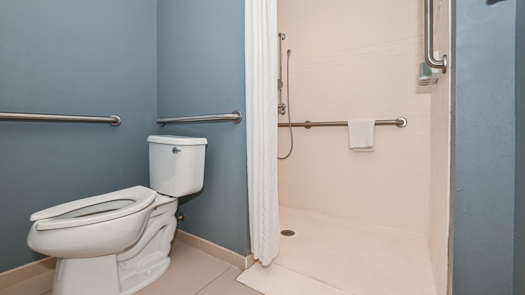 Roll in shower with grab bars beside toilet.