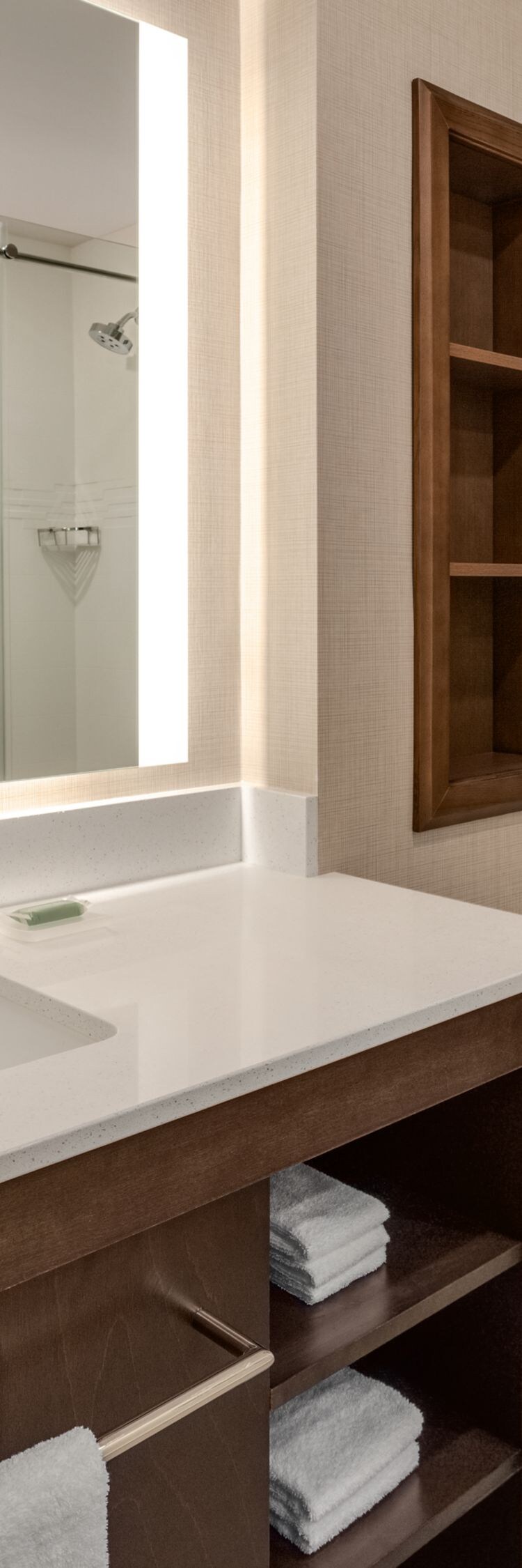 Bathroom with walk-in shower