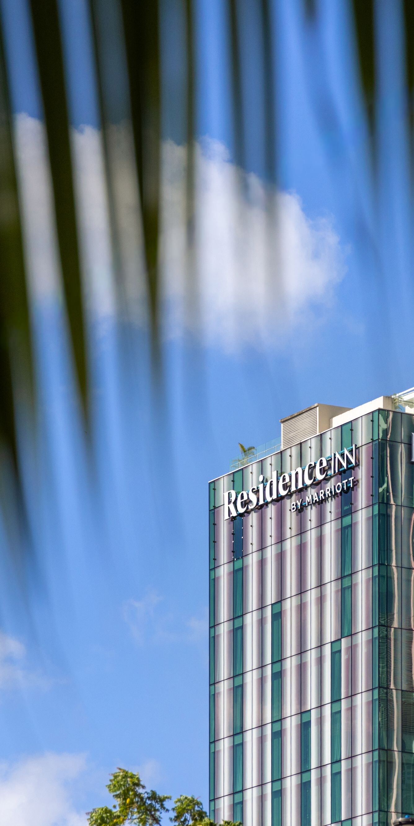 Exterior del hotel con palmeras