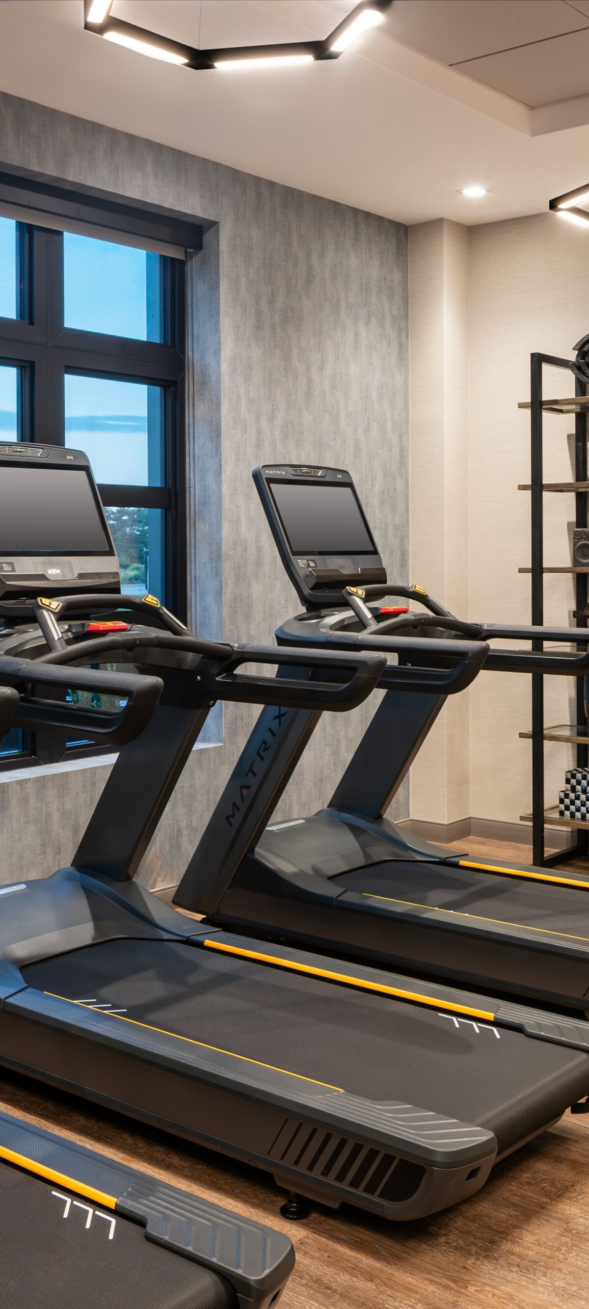 Fitness Studio treadmills