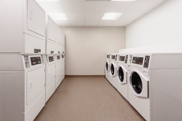 Laundry room with rows of dryers and washers.