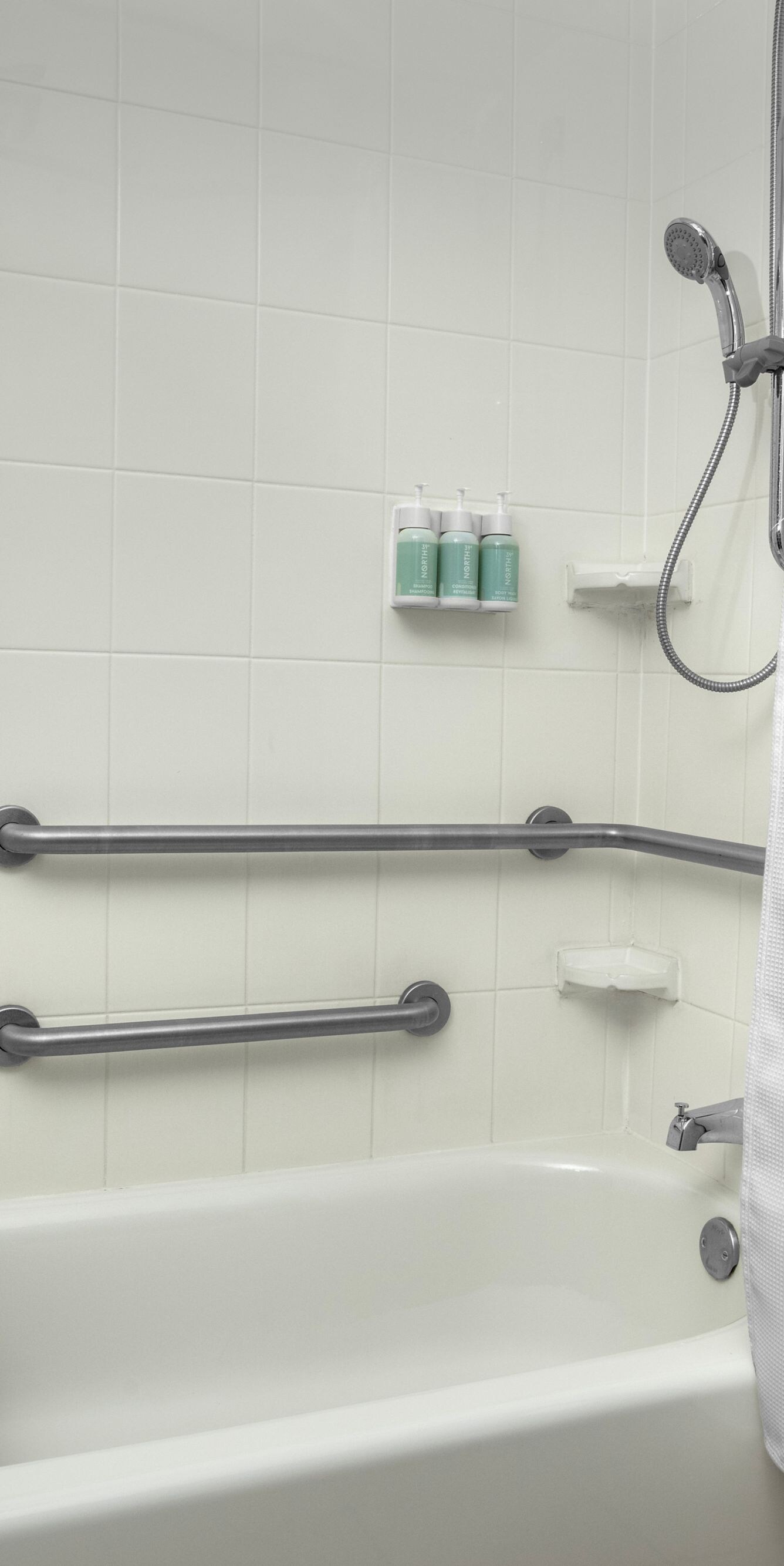 Accessible Bathtub with seat and handrails