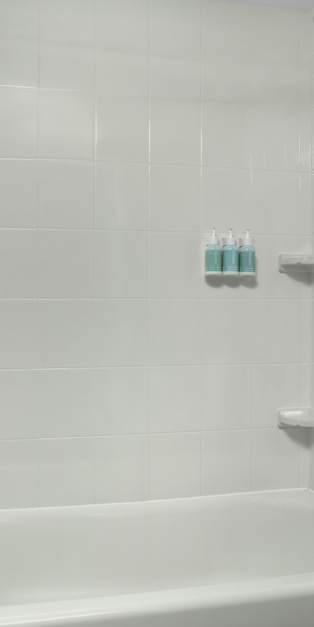 Bathroom bathtub with grab bars and shower