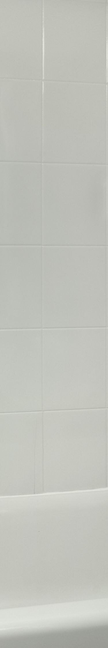 Bathroom bathtub with grab bars and shower