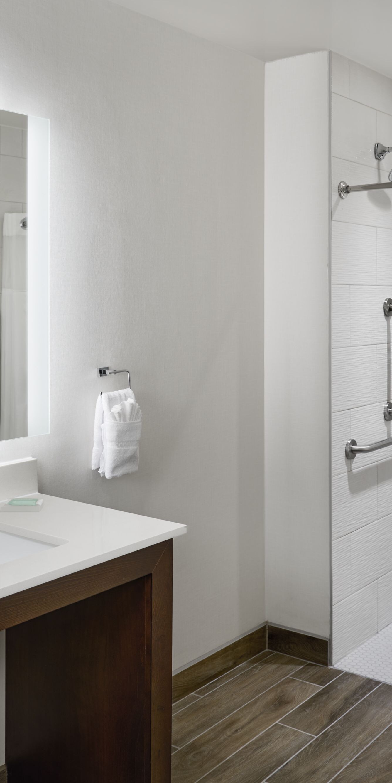 Accessible Roll-In Shower and vanity