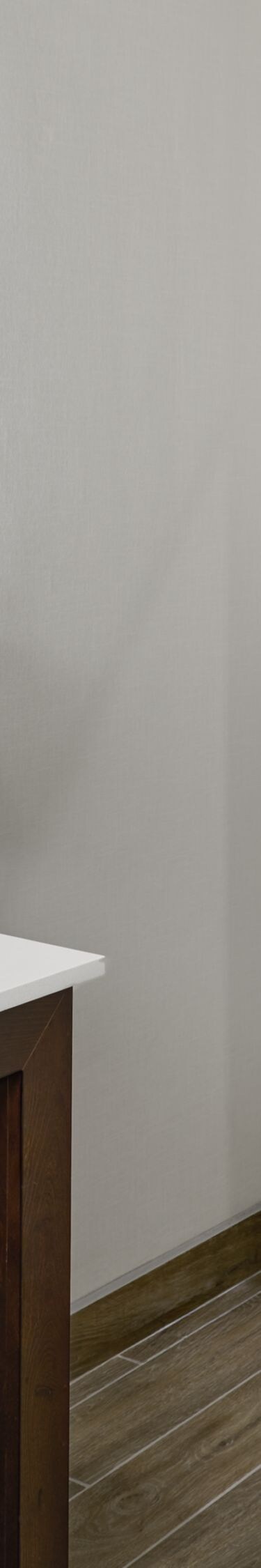 Accessible Roll-In Shower and vanity