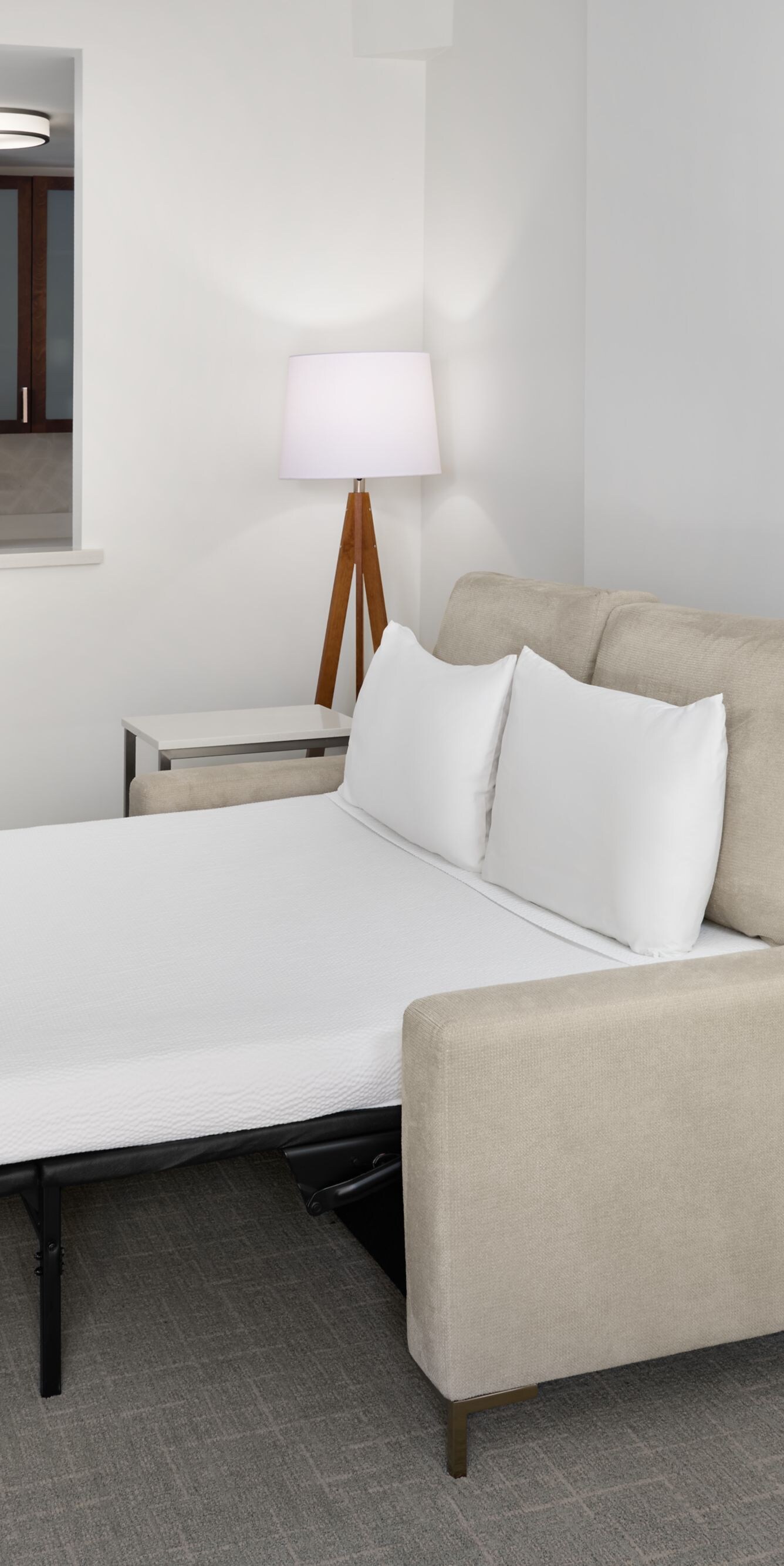 One Bedroom Suite - Sofa Bed