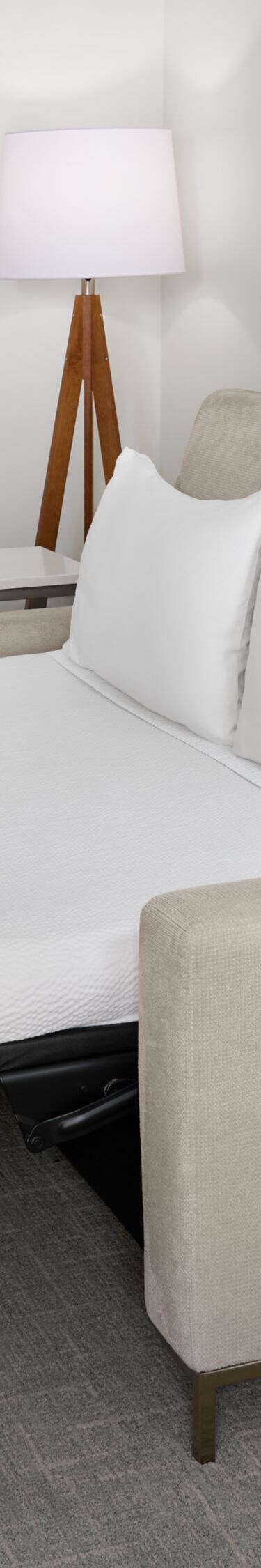 One Bedroom Suite - Sofa Bed