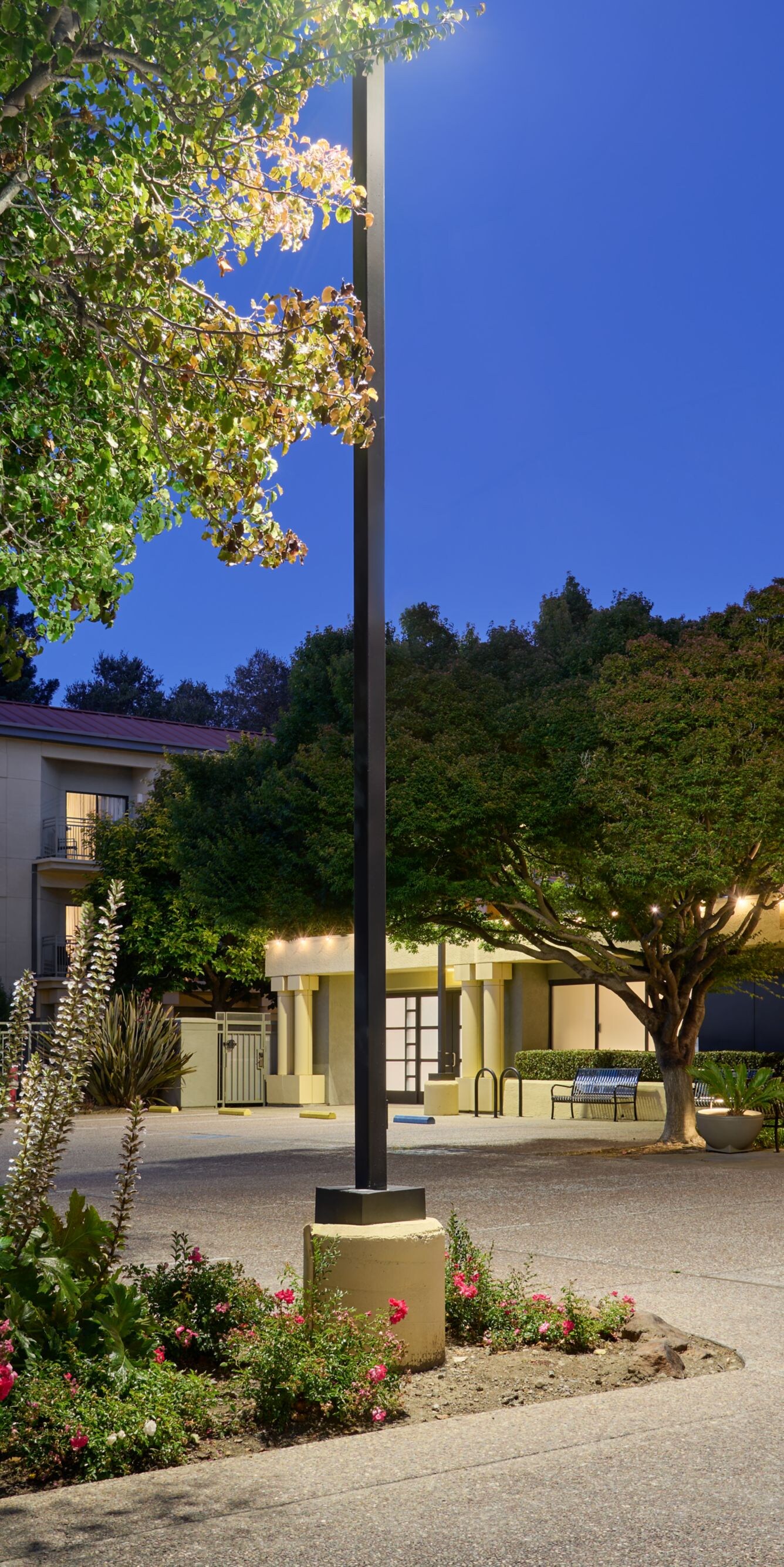 Hotel exterior at dusk