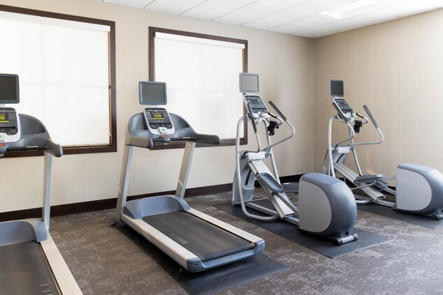 Cardio machines in a modern workout room
