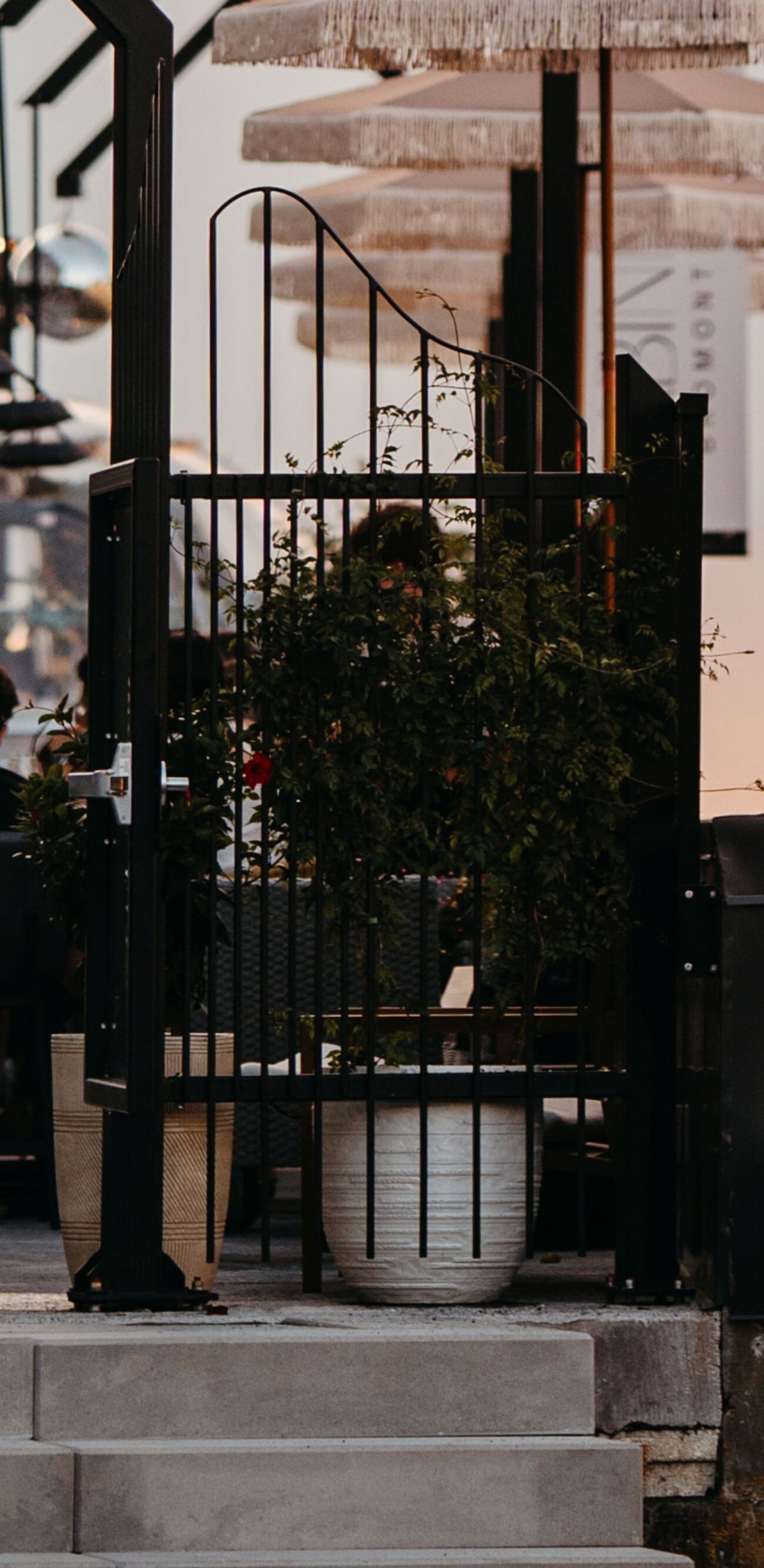 Restaurant outdoor terrace