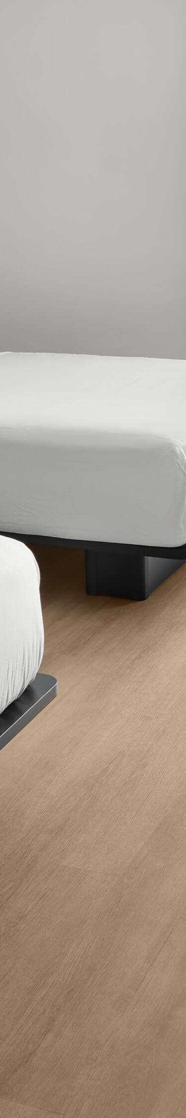 Two Queens Accessible Guest Room
