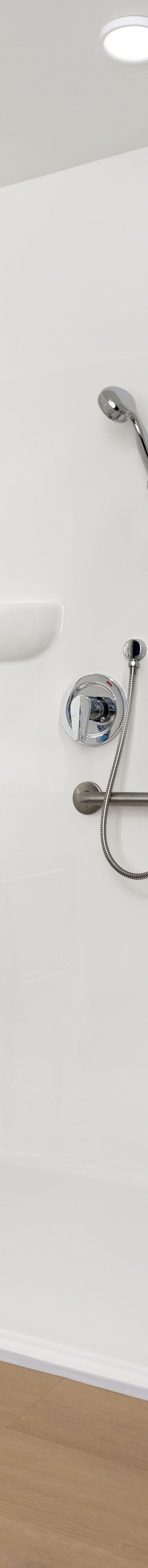 Accessible roll-in shower with grab bars