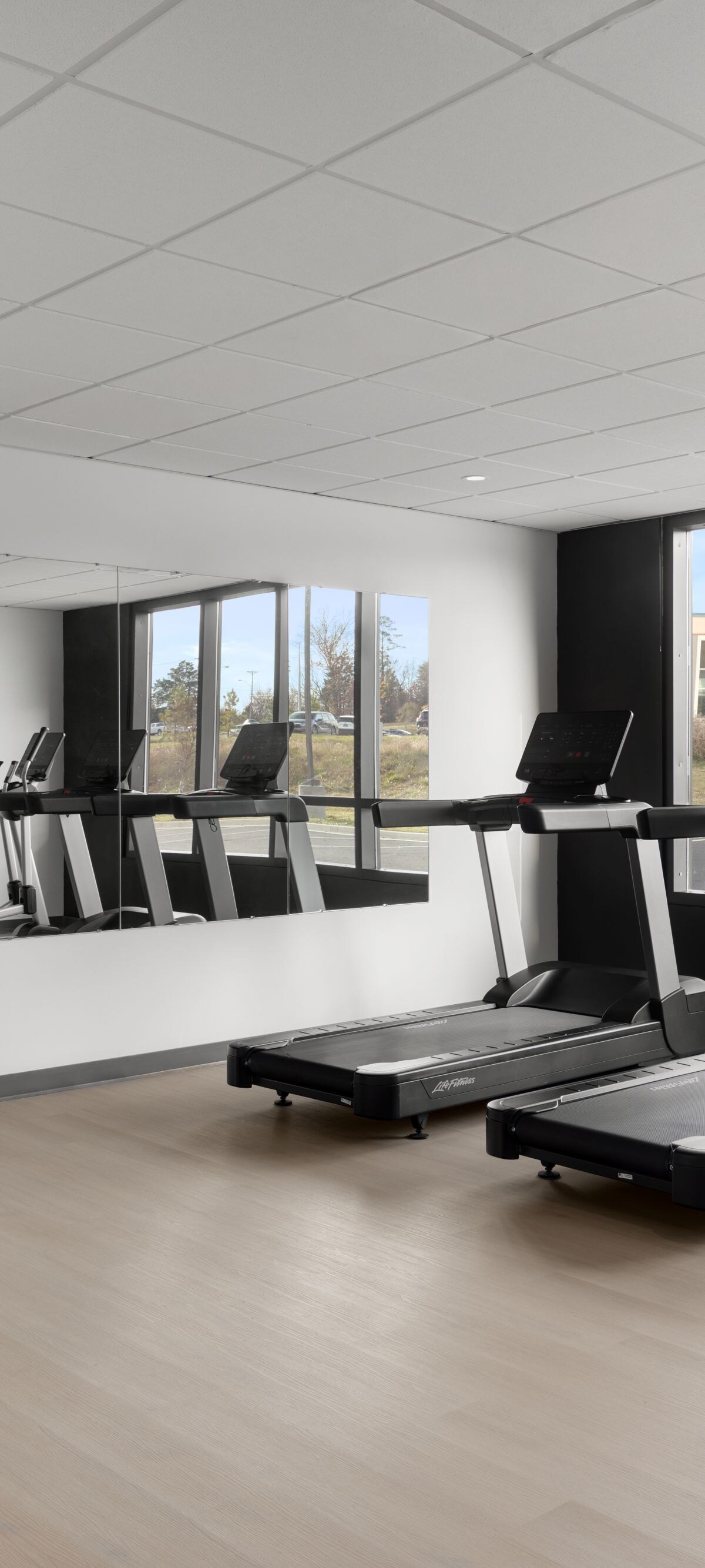 Gym with cardio machines and free weights