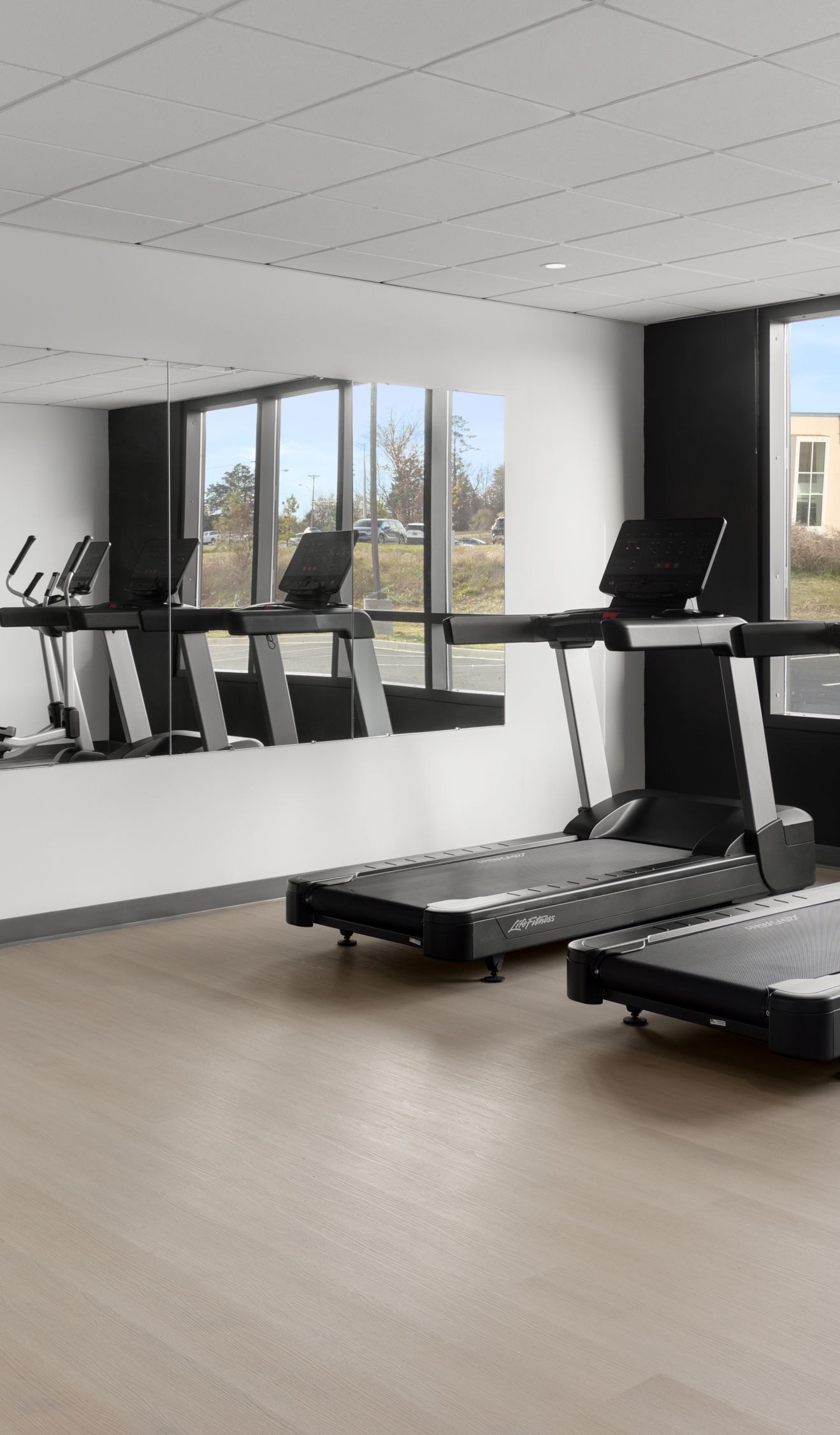 Gym with cardio machines and free weights