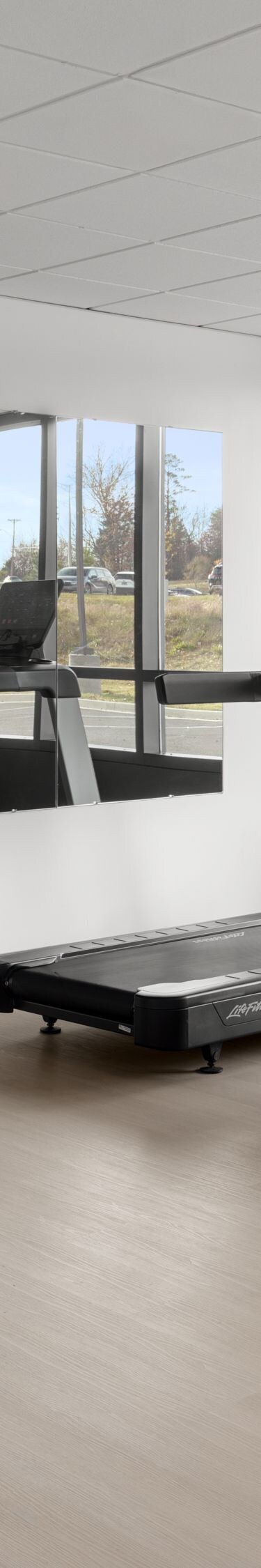 Gym with cardio machines and free weights