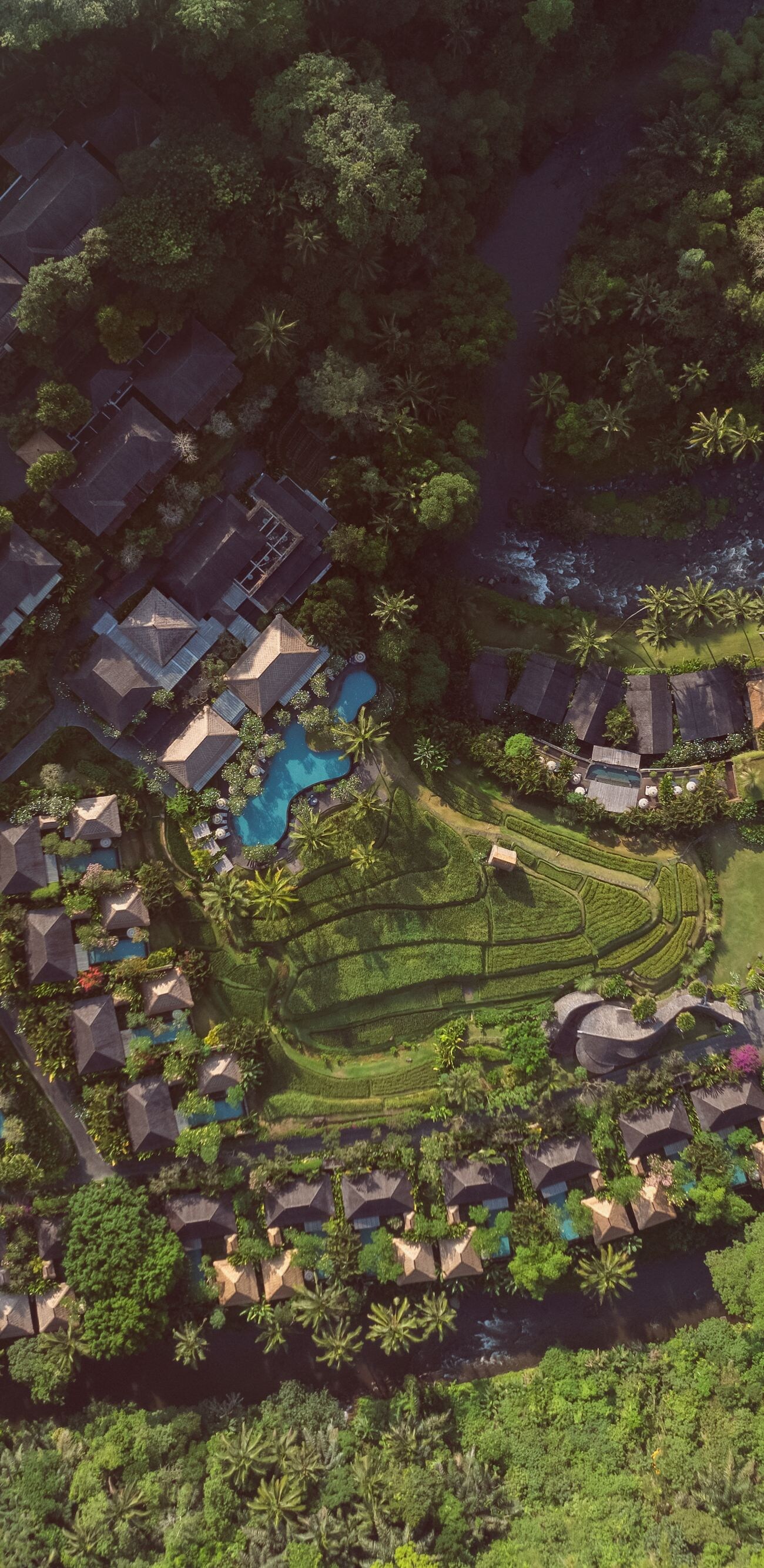 Resort - Aerial View