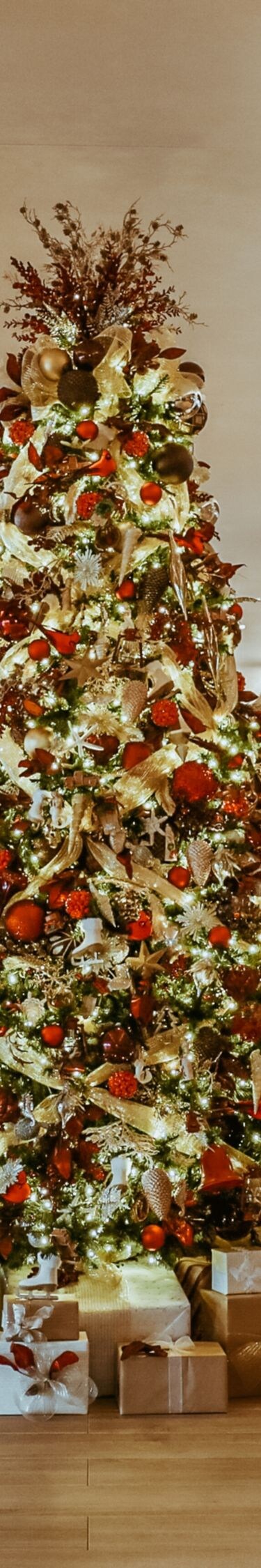 タートルベイのクリスマスツリー