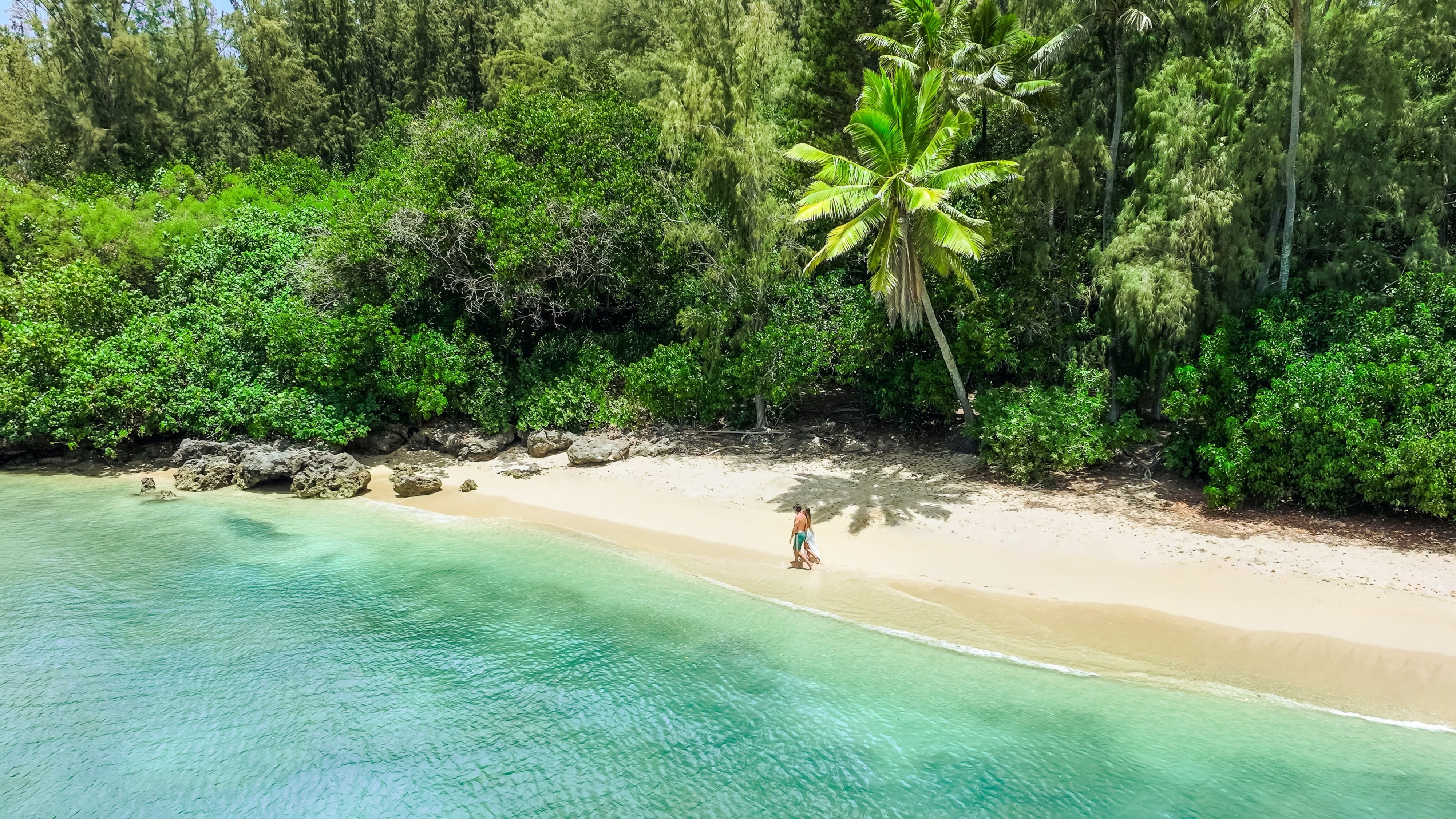 Experience More of the North Shore