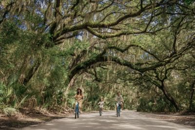 Couple riding bikes through oak trees.