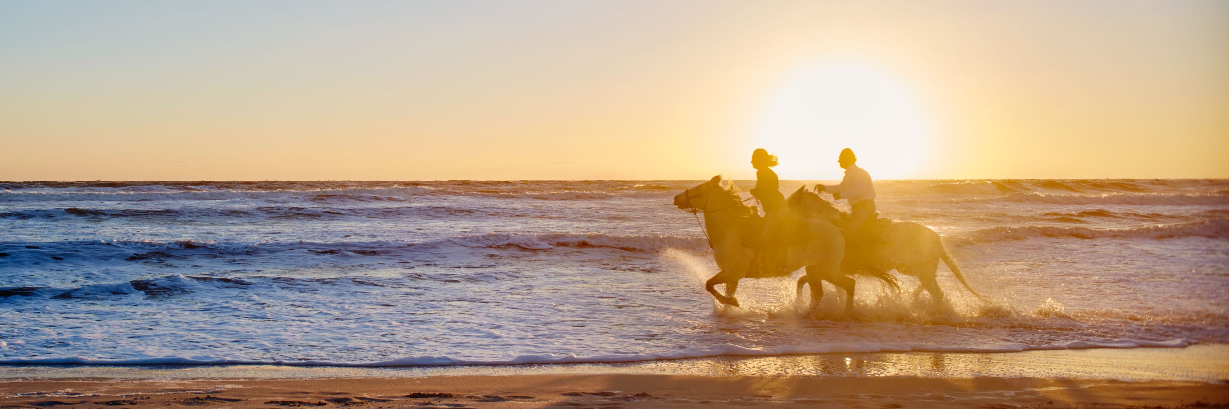 Amelia Island Horseback Riding
